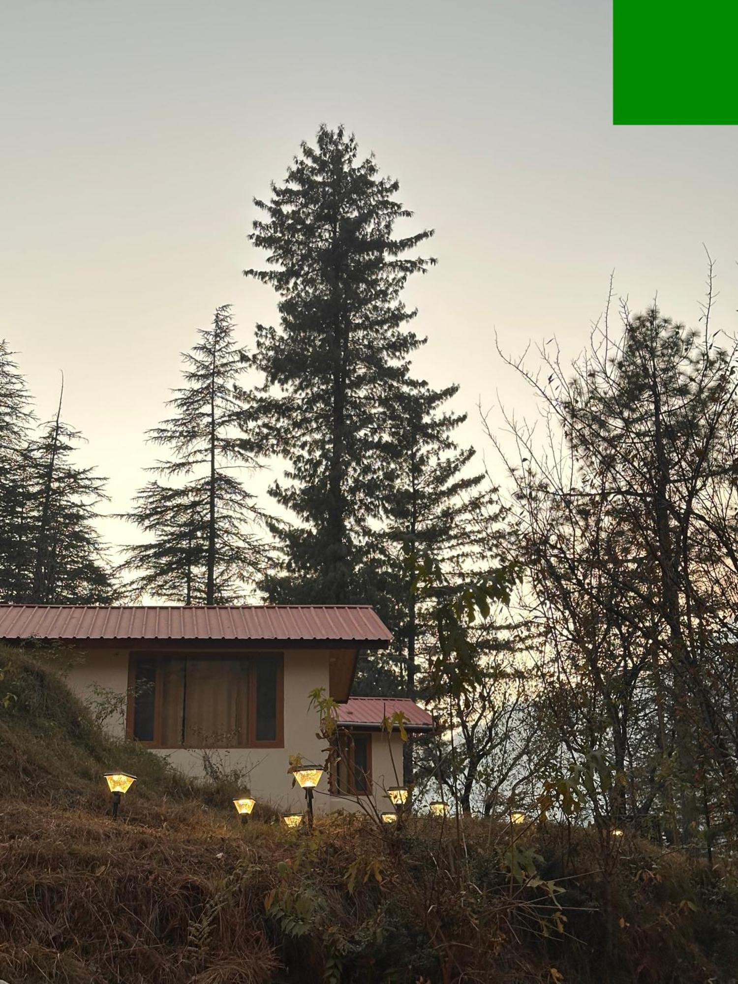 Ahava Kasol Riverside Cafe And Cottages Dış mekan fotoğraf